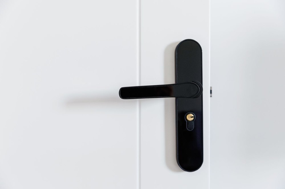 какие дверные ручки выбрать